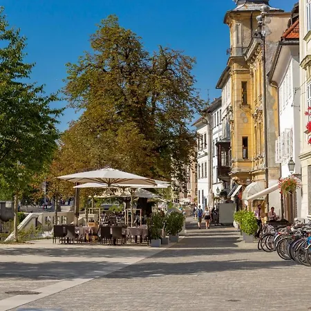 Fine * Ljubljana