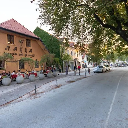 Fine Ljubljana