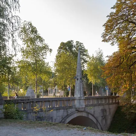 Fine Ljubljana