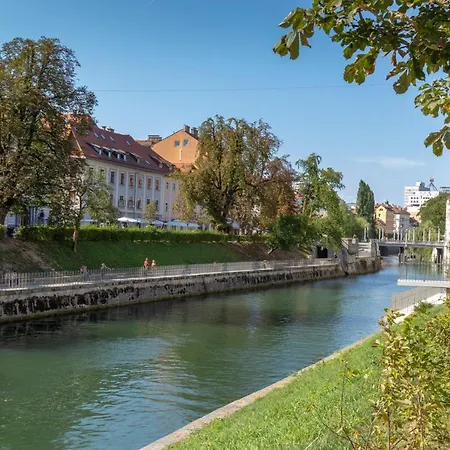 Fine * Ljubljana