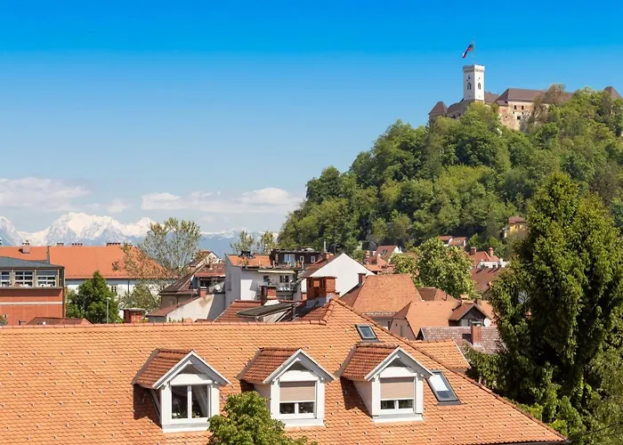 Fine Διαμέρισμα